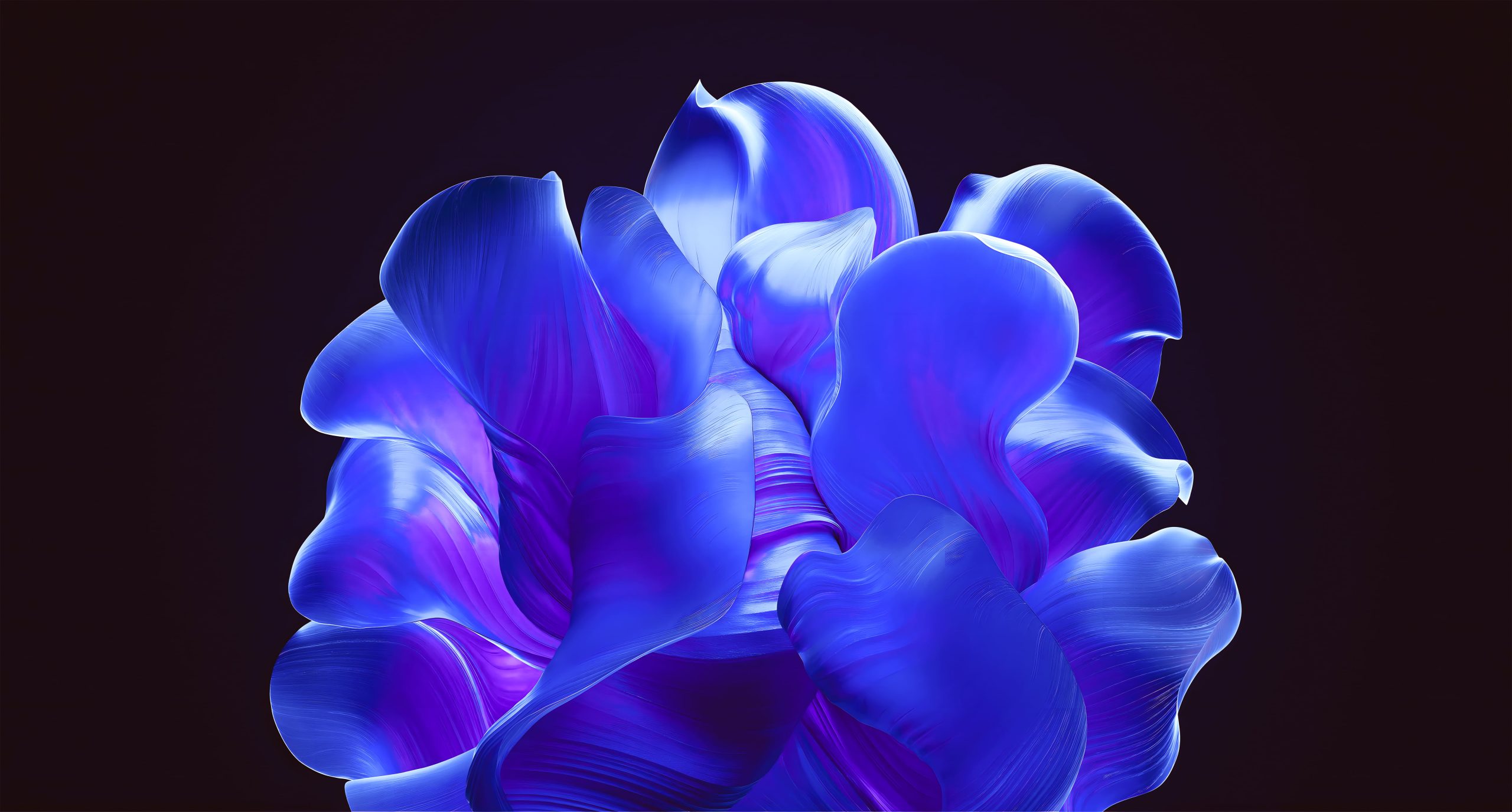 windows 11 windows 11 bloom hd wallpaper 386645064263330b14a44935865dcc1b