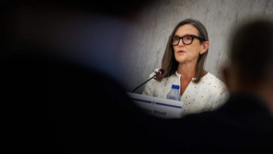 Cathie Wood investiert 175 Millionen in KI