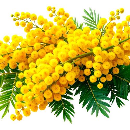 Datenbank-Change-Management in Unternehmen oft vernachlässigt