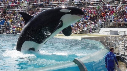 Deepseek V4: Chinas Weg zur KI-Unabhängigkeit