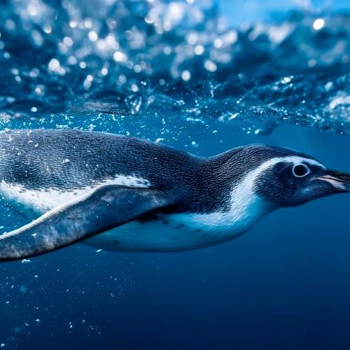 Flüssigkeitskühlung in Rechenzentren im Aufwind