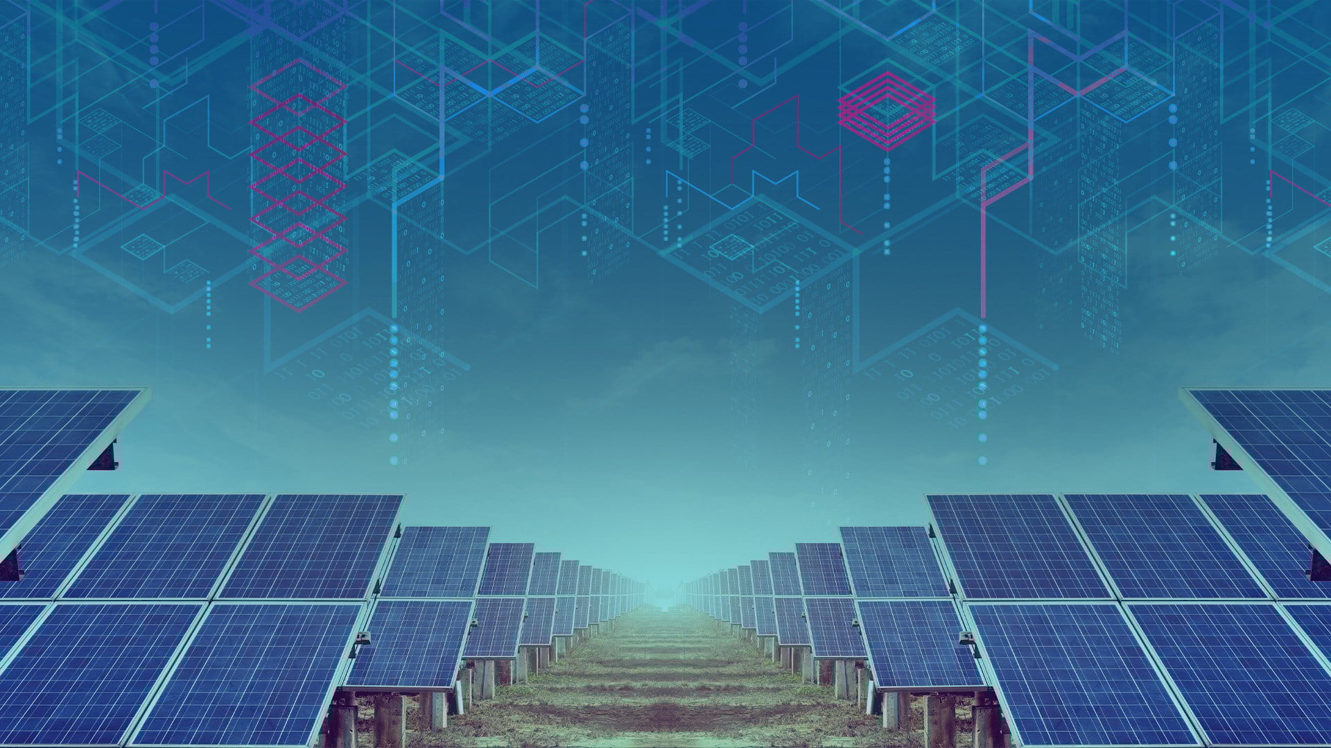 Roboter baut Solarpark in Rekordgeschwindigkeit