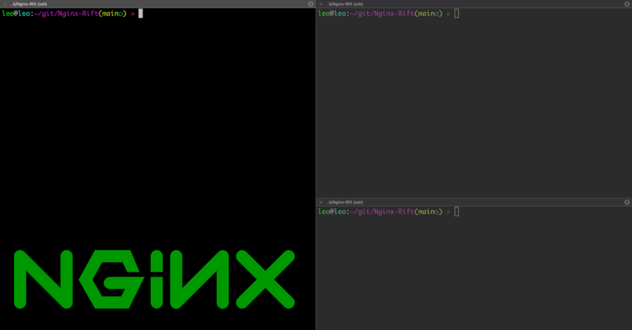 Kritische NGINX-Sicherheitslücke nach 18 Jahren entdeckt