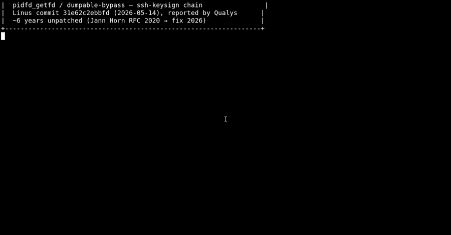 Neun Jahre alte Linux-Kernel-Sicherheitslücke entdeckt