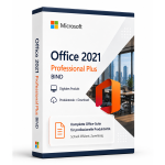 office 2021 professional plus bind