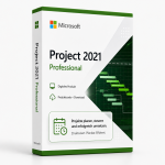 project 2021 professional