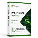 project 2024 professional