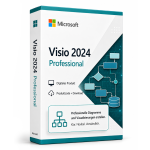 visio 2024 professional