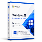 windows 11 enterprise ltsc 2024