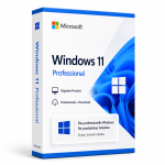 windows 11 professional layout 2