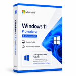 windows 11 professional sofortversand 24 7
