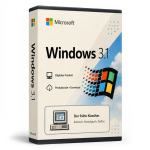 windows 3 1