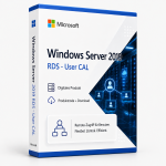 windows server 2019 rds user cal