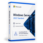 windows server 2022 standard