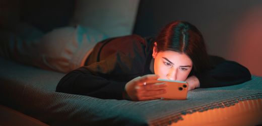 Karin Priens Plan für ein Social-Media-Verbot