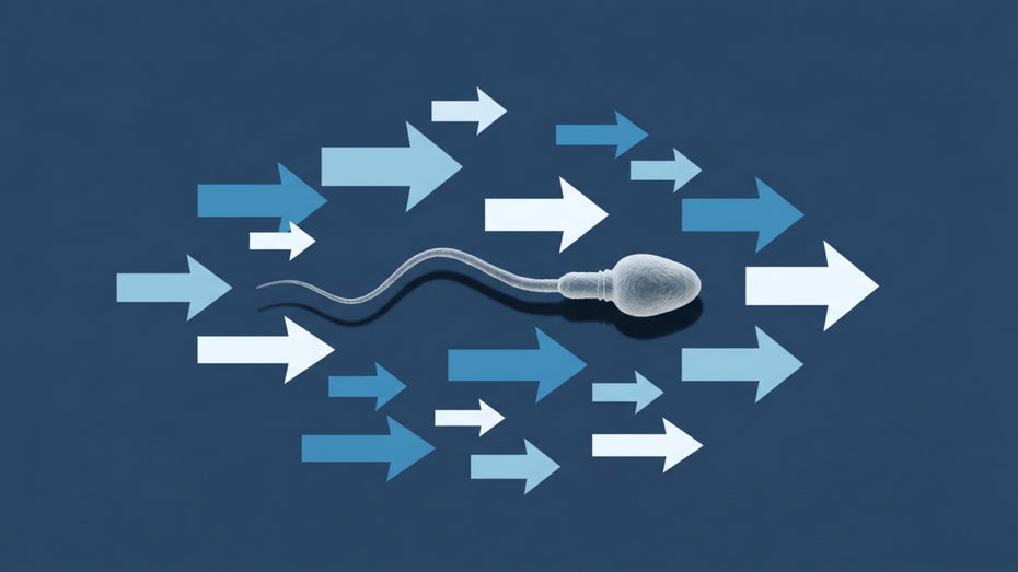 Nanoparticles in Sperm: New Hope for Couples