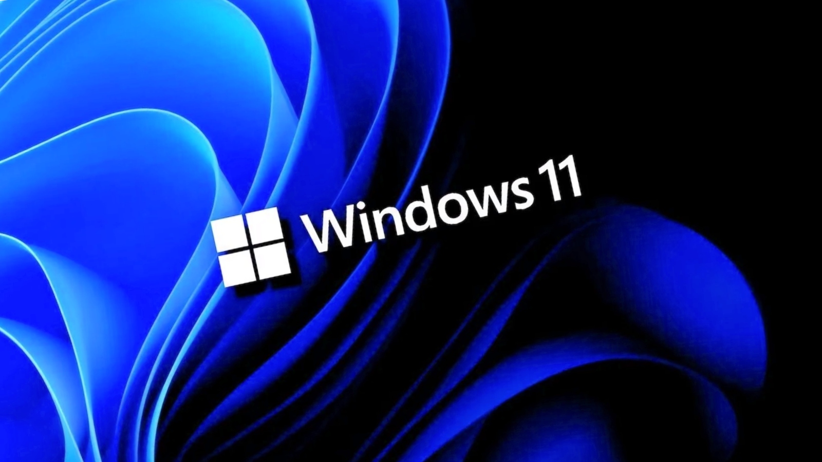Microsoft tests ad-free Windows search