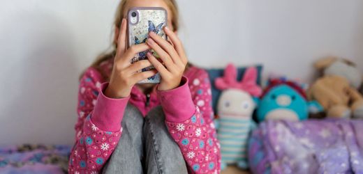 Meta zu 567 Millionen US-Dollar Strafe verurteilt
