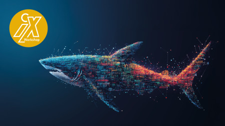Wireshark-Workshop zur Netzwerkdiagnose
